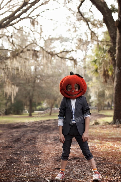 Preview: Portrait of boy in forest wearing pumpkin head