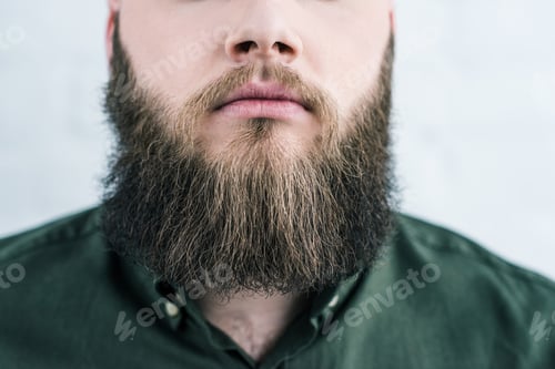 Preview: cropped shot of bearded man in shirt against white brick wall