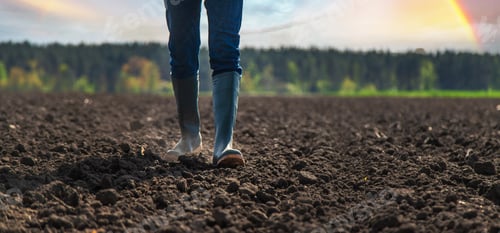 Preview: Male farmer in the field checks the soil. Selective focus.
