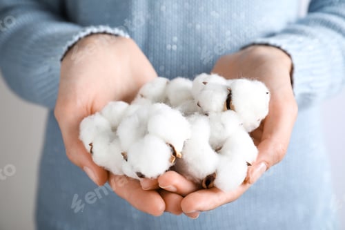 Preview: Young woman holding fluffy cotton flowers, closeup