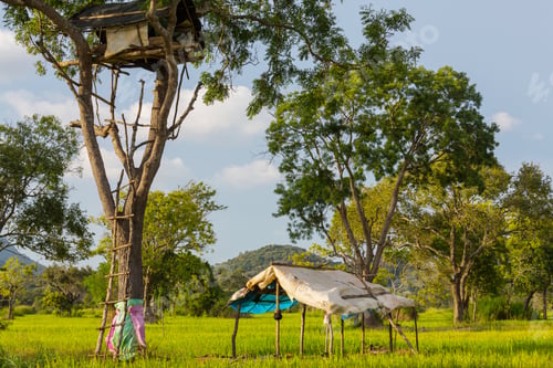 Preview: Tree hut