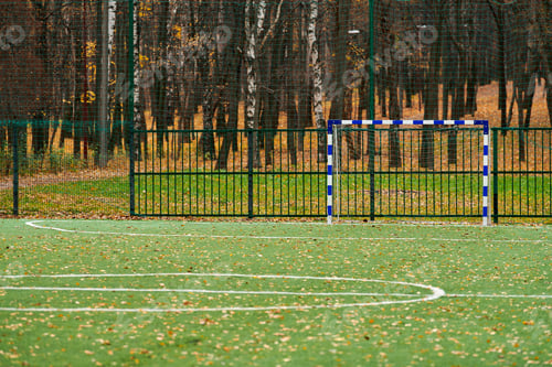 Preview: Artificial grass, sport field cover with soccer goal