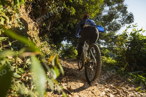 Preview: Cycling on sunrise forest trail