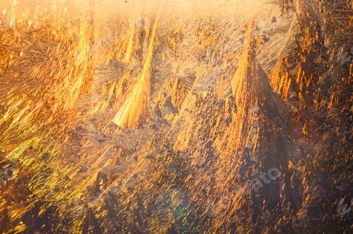 Preview: frost patterns at sunrise or sunset in winter on a frosty morning
