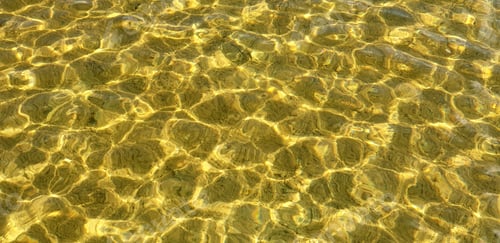 Preview: Beautiful clear water with light ripples of a summer lake