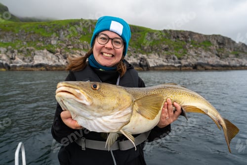 Preview: Happy young woman holding big arctic cod. Norway happy fishing. Fisherwoman with cod fish in hands