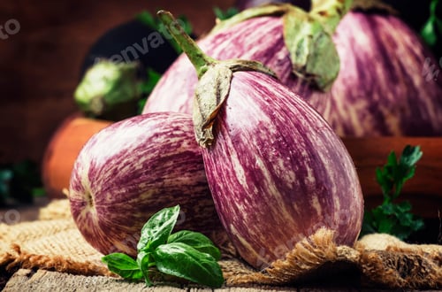 Preview: Fresh purple striped eggplants, rustic style