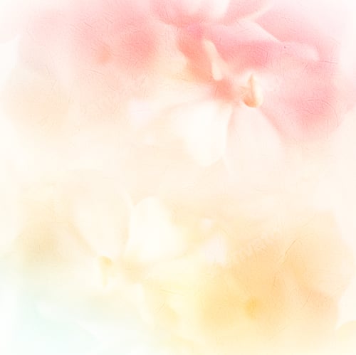 Preview: Vivid Color Roses Flower In Soft And Blur Style On Mulberry Paper Texture