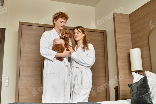 Preview: Young couple enjoying leisure time with their pet in a cozy hotel room