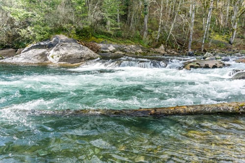 Preview: A View Of Rapid On The Green River In Washington State.