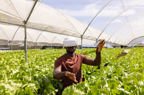 Preview: Using VR headset, farmer managing hydroponic vegetable garden in greenhouse