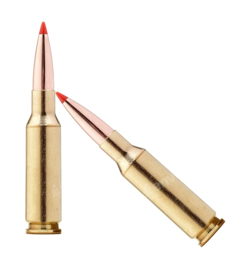 Preview: rifle bullets on white background