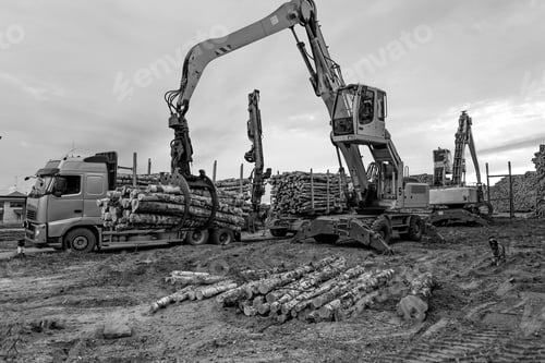 Preview: Cranes at warehouse territory logs are unloaded from the truck.