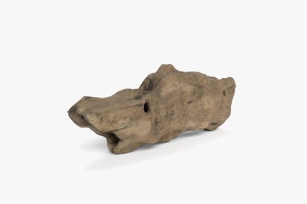 Preview: Weathered Driftwood Log