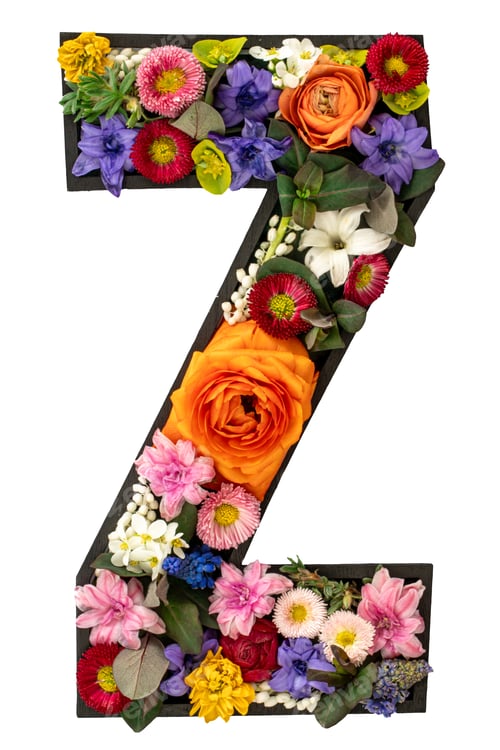 Preview: Letter Z made of real natural flowers and leaves on white background isolated.