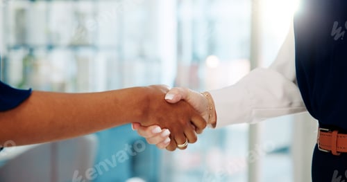 Preview: Business, people and handshake in office for meeting, job interview and welcome to company. Partner