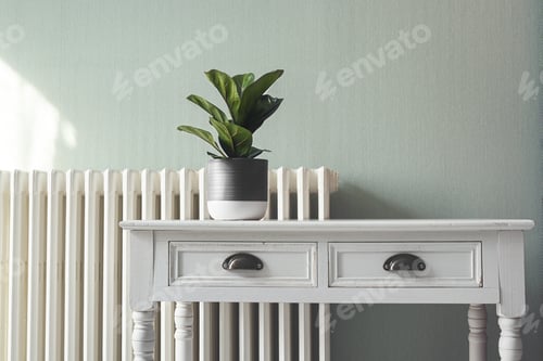 Preview: Fiddle Fig on the white table
