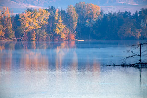 Preview: Golden autumn trees and lake. Autumn landscape, sunny morning.