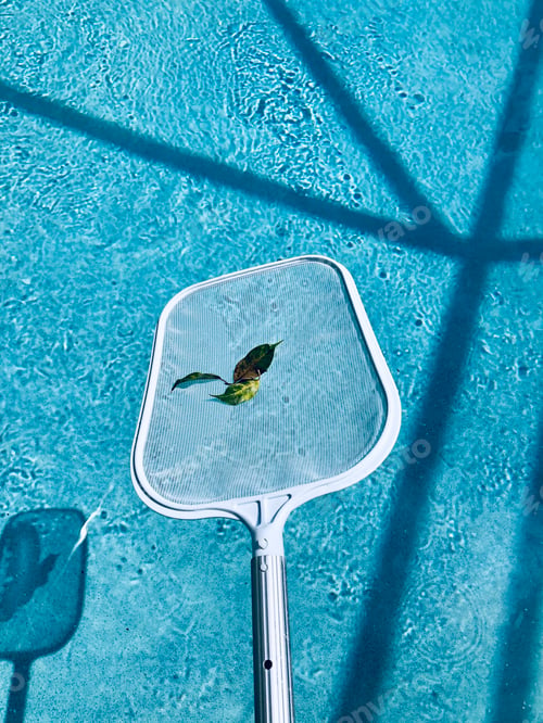 Preview: Cleaning leaves out of the swimming pool.