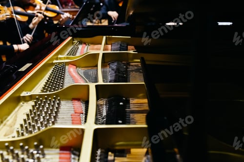 Preview: Detail of the interior of a piano with the soundboard, strings and pins.