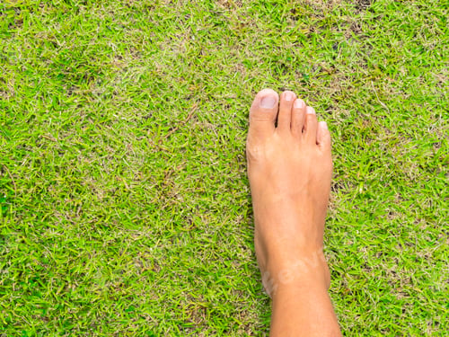 Preview: Feet bare on green grass garden