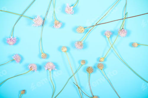 Preview: Autumn Leaves Lie On The Table Background Image