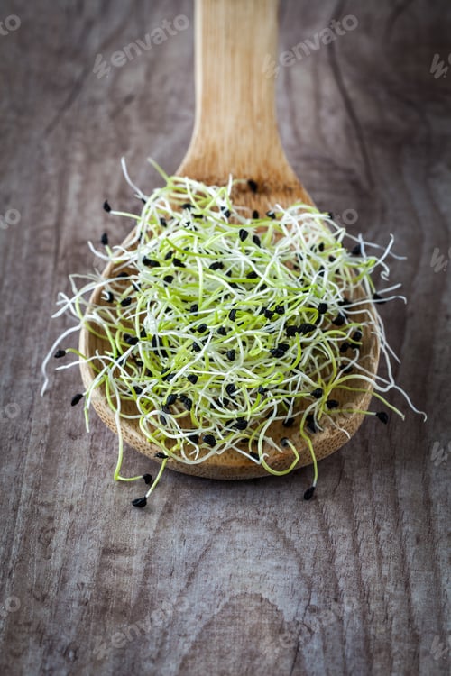 Preview: Onion germ sprouts