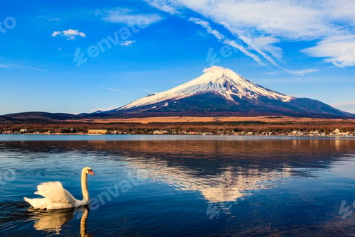 Vista previa: White Swan with Mount Fuji at Yamanaka lake, Yamanashi, Japan