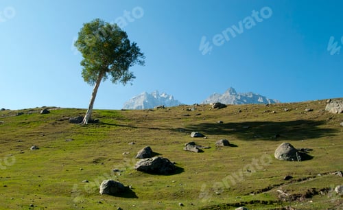 Preview: Beautiful mountain landscape and grass field, Jammu and Kashmir state, India