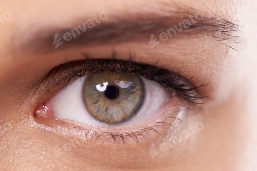 Preview: Wide eyed beauty