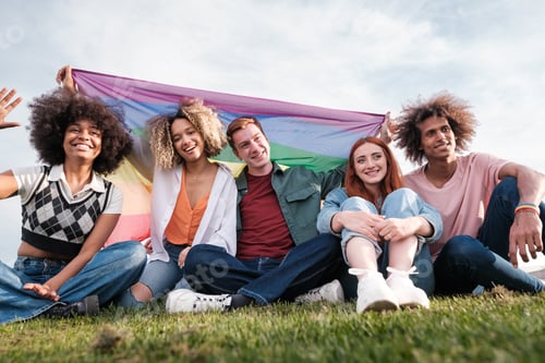 Preview: Group of young people sitting on the grass with the gay pride flag. Concept: friendship, lgtbi