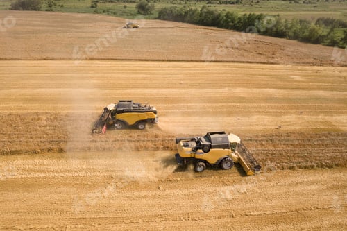 Preview: Aerial view of combine harvesters harvesting large yellow ripe wheat field