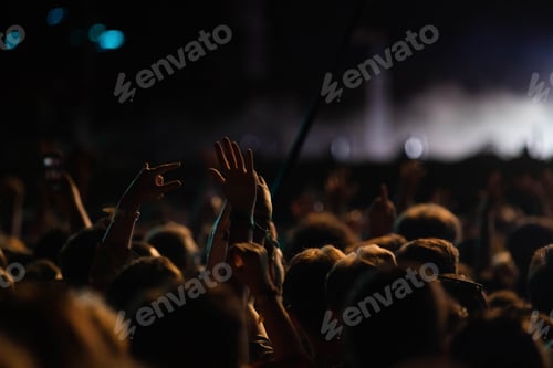 Preview: crowd partying stage lights live concert summer music festival