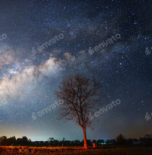Preview: A Beautiful World in Pictures