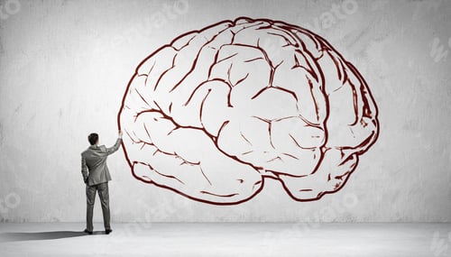 Preview: Back View Of Businessman Drawing Human Brain On Wall