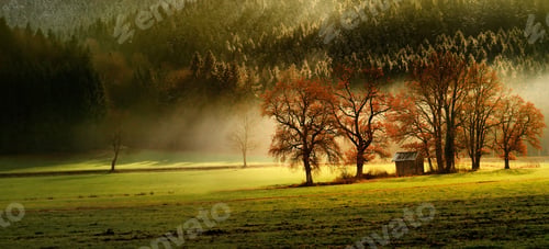 Preview: Finest autumn lansdcape of Bavarian nature with several trees and magestic light and fog