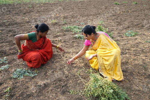 Preview: Rural Indian women in the field.