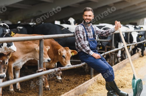 Preview: Farmer sitting and leaning on fence in cowshed holding shovel