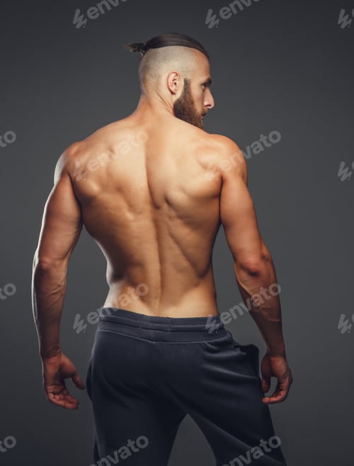 Preview: Muscular man's back.