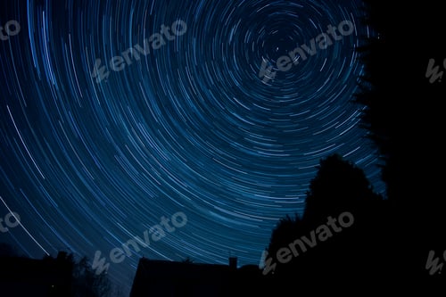 Preview: Silhouette of trees in a field under the beautiful Polaris star trails in the blue night's sky