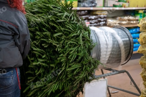 Preview: Saleswoman being wrapped up a Christmas tree packed in a plastic net