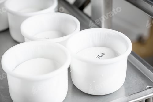 Preview: Plastic molds with cheese