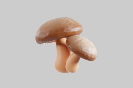 Preview: Two mushrooms.