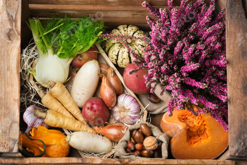 Preview: Assortment or farmer market bio organic ripe root vegetables