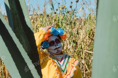 Preview: Mexican woman in colorful dress and skull makeup in the mexican desert cactus