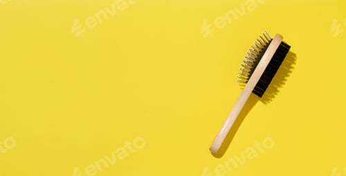 Preview: Wooden animal brush on yellow background, top view