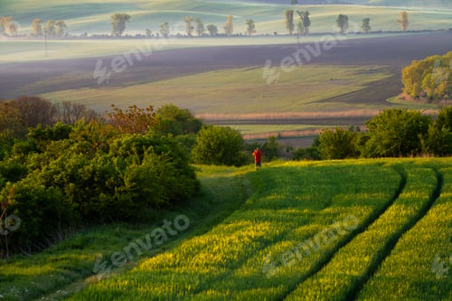 Preview: Man enjoying gorgeous rural landscape in South Moravia region, Czech Republic