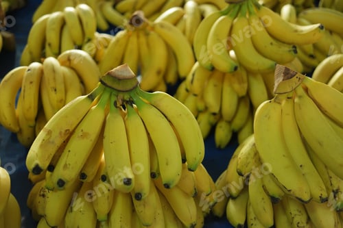 Preview: Banans bunches on the market stall.