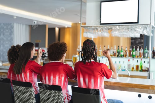 Preview: Diverse group of male and female sports fans cheering and watching game at bar