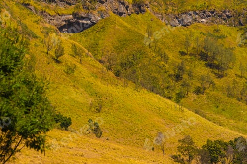 Preview: Mountains. Bromo Savanna Green Hill in the national park, East Java, Indonesia. Nature landscape